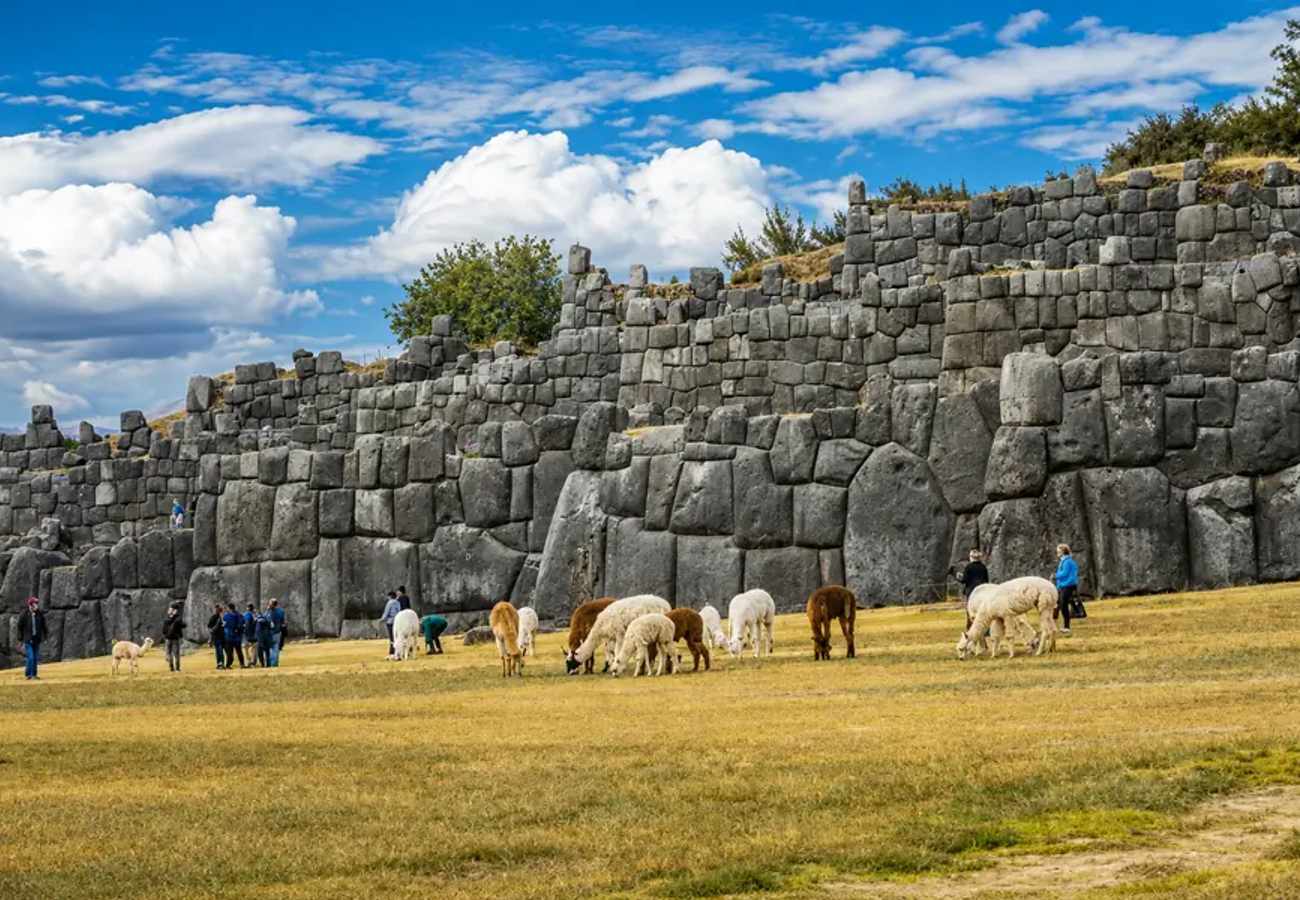Llamas grazing at the Sacsayhuaman fortress walls near Cusco